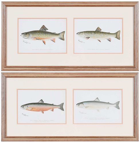 FOUR DENTON TROUT