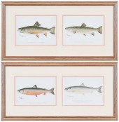 FOUR DENTON TROUT CHROMOLITHOG