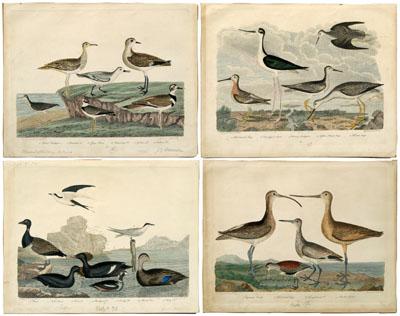Four engravings after A. Wilson: