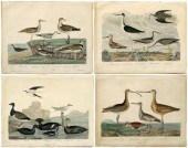 Four engravings after A. Wilso