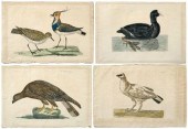 Four engravings after Peter Pa