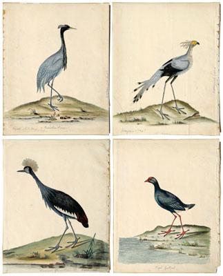 Four engravings after William