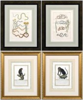 Four engravings: two hand colo