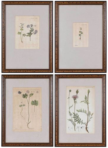 FOUR FRAMED FLORA DANICA
