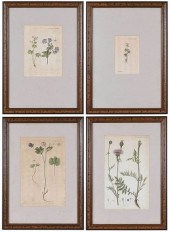 FOUR FRAMED FLORA DANICA PRINT