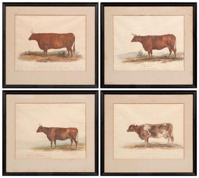 Four George Garrard cow prints