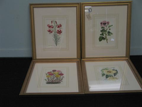 Four  handcolored lithographs of