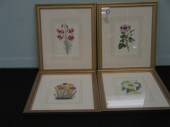 Four  handcolored lithographs