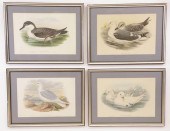 FOUR JOHN GOULD COLORED LITHOG