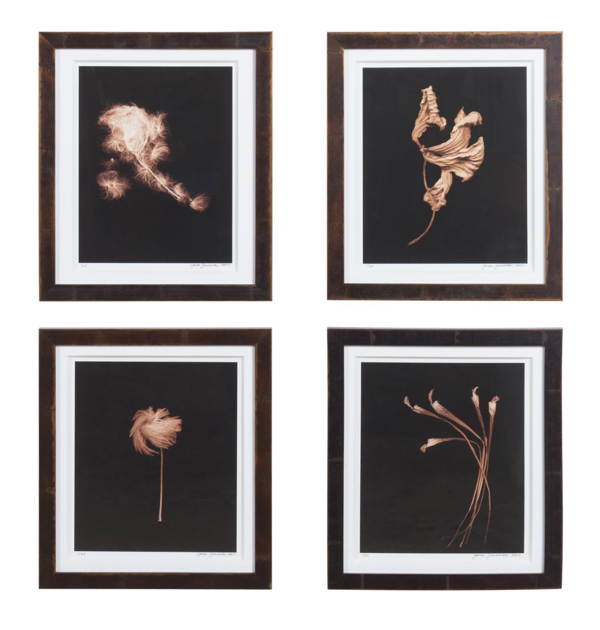 FOUR JOYCE TENNESON FLOWER