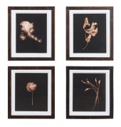 FOUR JOYCE TENNESON FLOWER POR