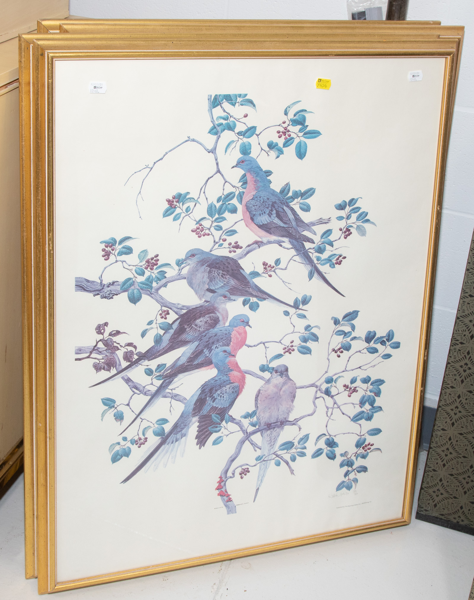 FOUR LARGE BIRD PRINTS All framed.