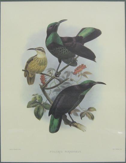 Four large folio size lithographs