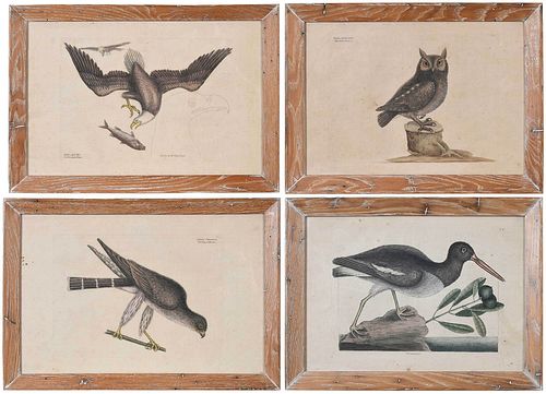 FOUR MARK CATESBY PRINTS,