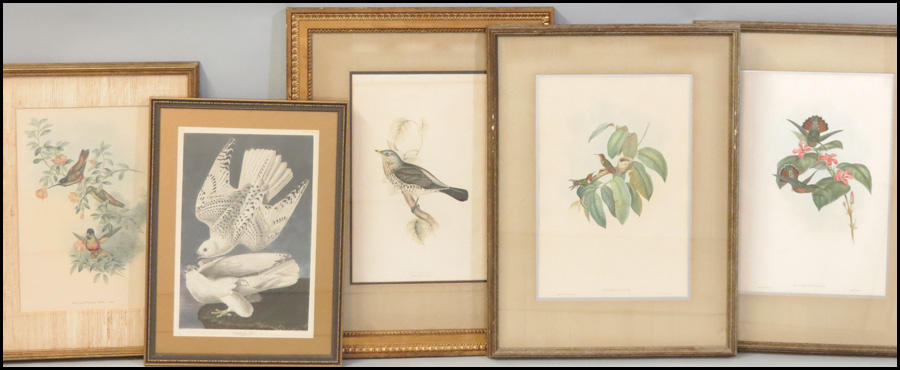 FOUR ORNITHOLIGICAL PRINTS AFTER J.