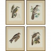 Four Ornithological Prints, Bo