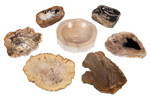 FOUR PETRIFIED WOOD SLABS AND THREE