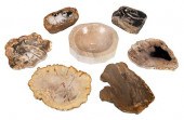 FOUR PETRIFIED WOOD SLABS AND