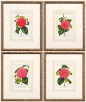 Four prints after L. Stroobaut