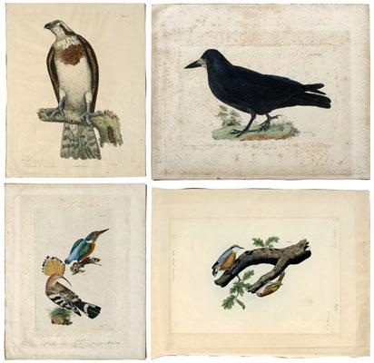 Four prints by Selby (Prideaux John