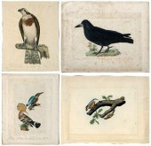 Four prints by Selby (Prideaux