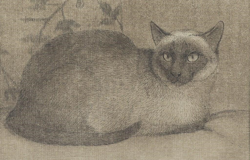 FOUR PRINTS OF CATSSheridan Oman