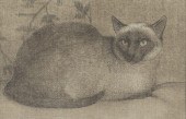 FOUR PRINTS OF CATSSheridan Om