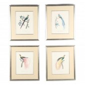 FOUR PRINTS OF COLORFULLY-PLUM