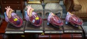 FOUR PROMOTIONAL MODELS OF HEA