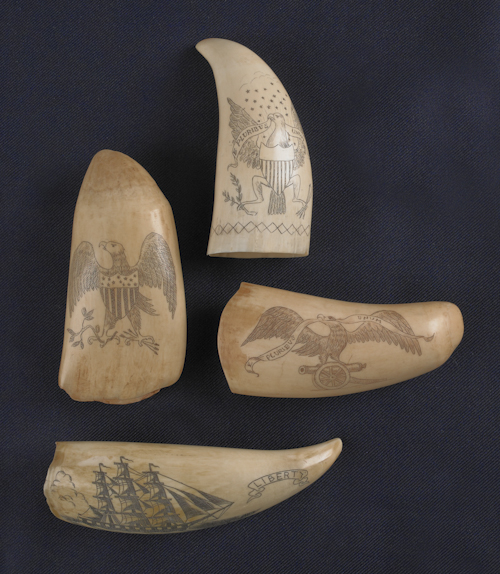 Four scrimshaw whale teeth with