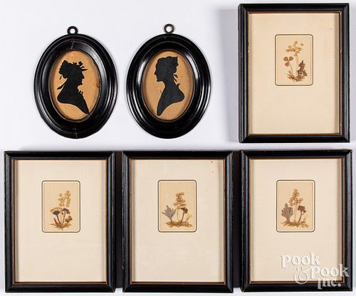 FOUR SMALL FRAMED BOTANICALS,