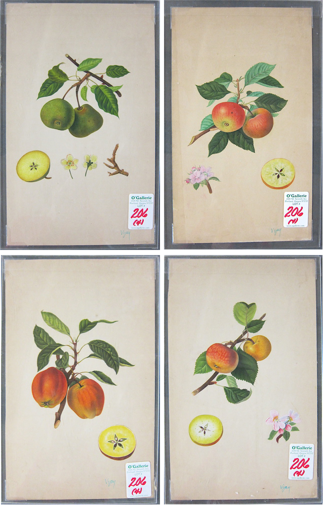 FOUR STILL LIFE WATERCOLORS on