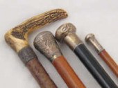 Four walking sticks one an ant