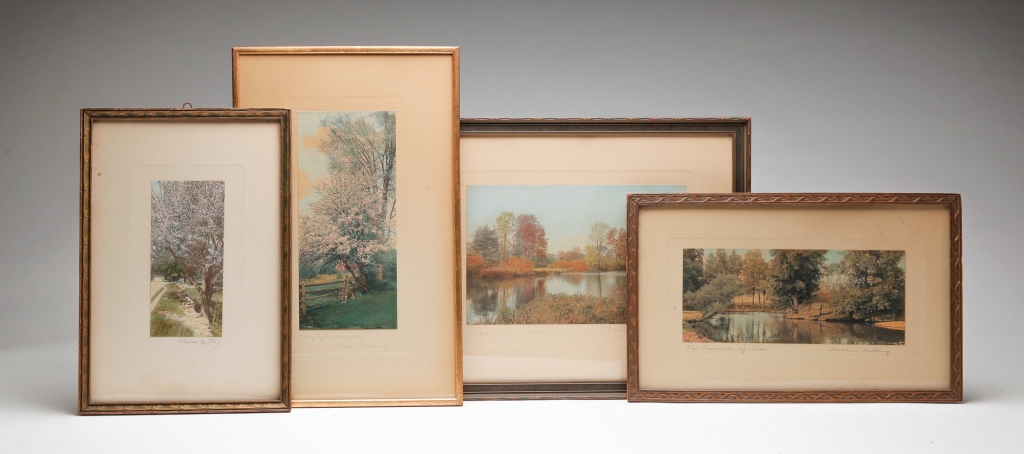 FOUR WALLACE NUTTING NATURE PRINTS.