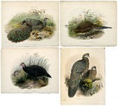 Four Wolf and Smit lithographs