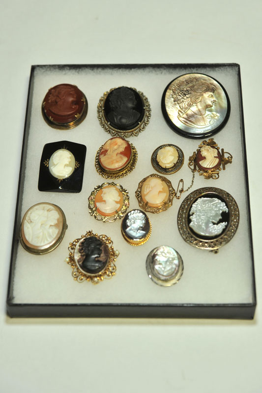 FOURTEEN CAMEO BROOCHES. Most