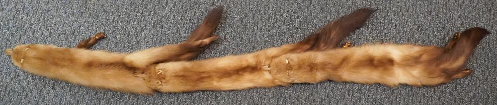 FOX BOAFox Boa,