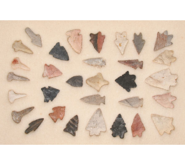 Frame of 31 bird points, drills,