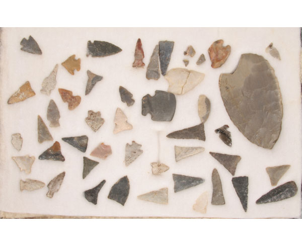 Frame of 44 miscellaneous bird