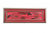 FRAMED AMPUTATION INSTRUMENTS.