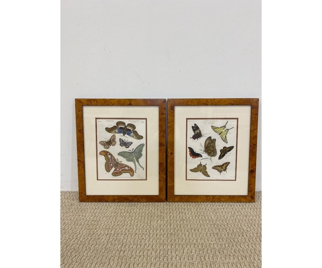 Framed and matted antique