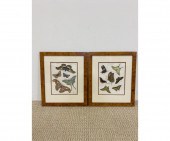 Framed and matted antique ento