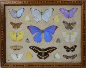 FRAMED ANTIQUE BRAZILIAN MOUNT