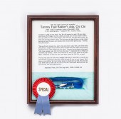 FRAMED COLLAR OF TAMMY FAYE BA