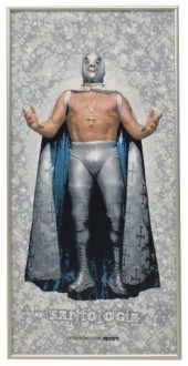 FRAMED DECORATIVE LUCHA LIBRE