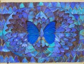 FRAMED IRIDESCENT GIANT BLUE M