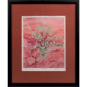 FRAMED LIMITED EDITION PRINT,