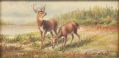 FRAMED OIL PAINTING, BUCK & DO