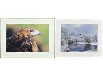 Framed photograph, “Golden Eagle,
