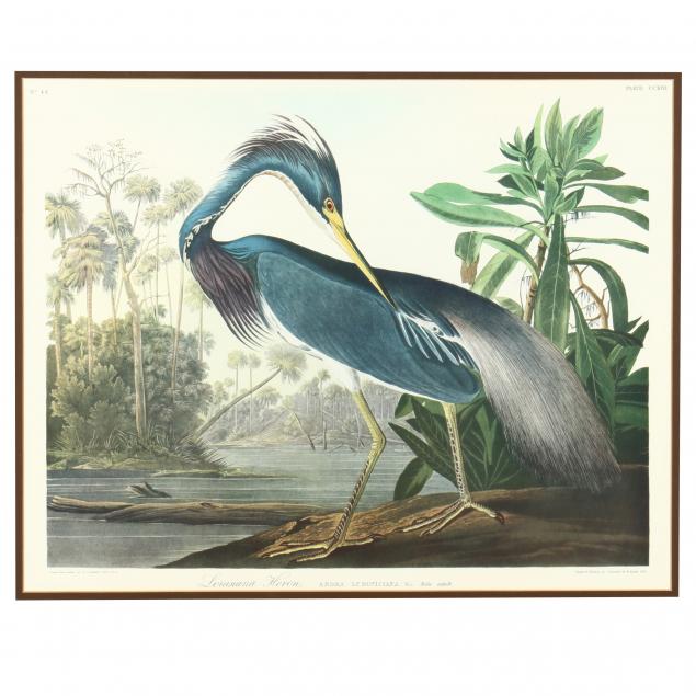 FRAMED PRINT AFTER AUDUBON'S